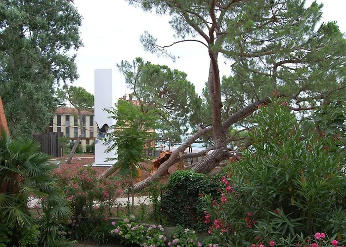 Marinaressa Biennale Terrazza