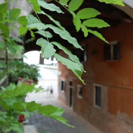 Marinaressa Biennale Apartment